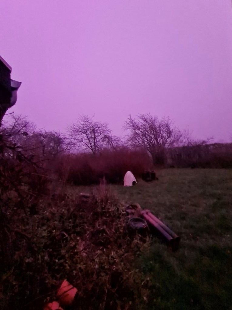 Var din himmel ogs� violet i g�r?