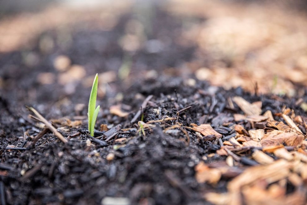 Selskab rejste en halv million til kb af mere jord