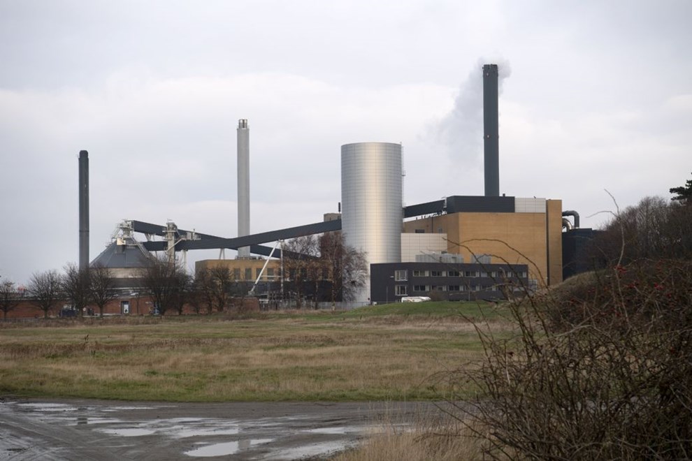 Beof med stort overskud: Vi er godt rustet