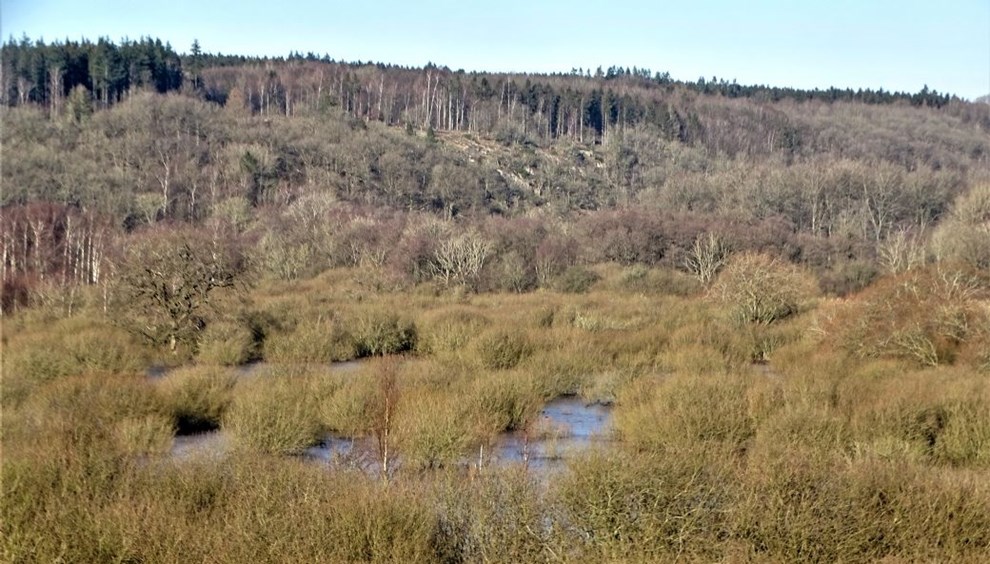Ekkodalens moser, skjulte grotter og ens hjeste vandfald