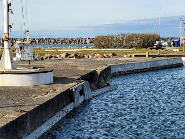 Kommunen s�ger millioner til et nyt N�rrek�s