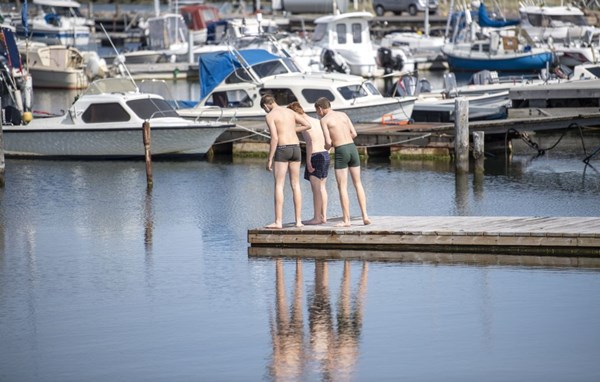 R�nne Havn skyder millioner i N�rrek�s-projekt