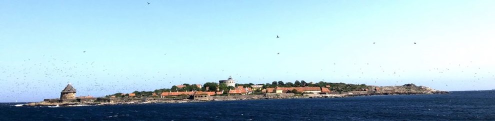 Dronningen inviterer alle om bord p kongeskibet