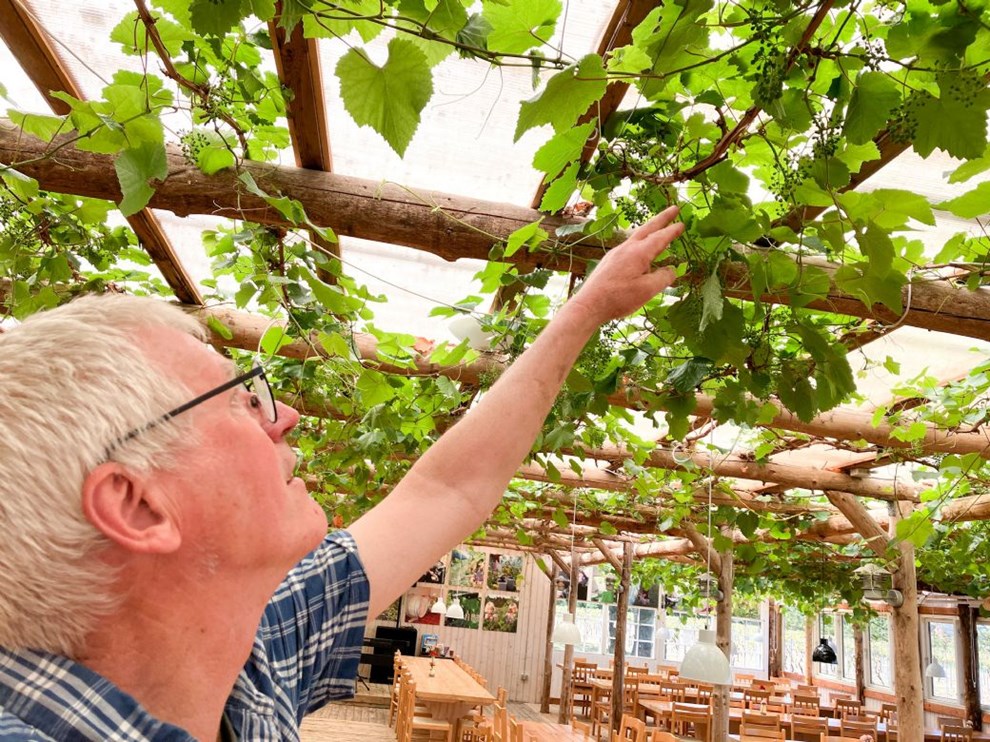 Vinbonden efter rekord�r: S�dan bliver 2023
