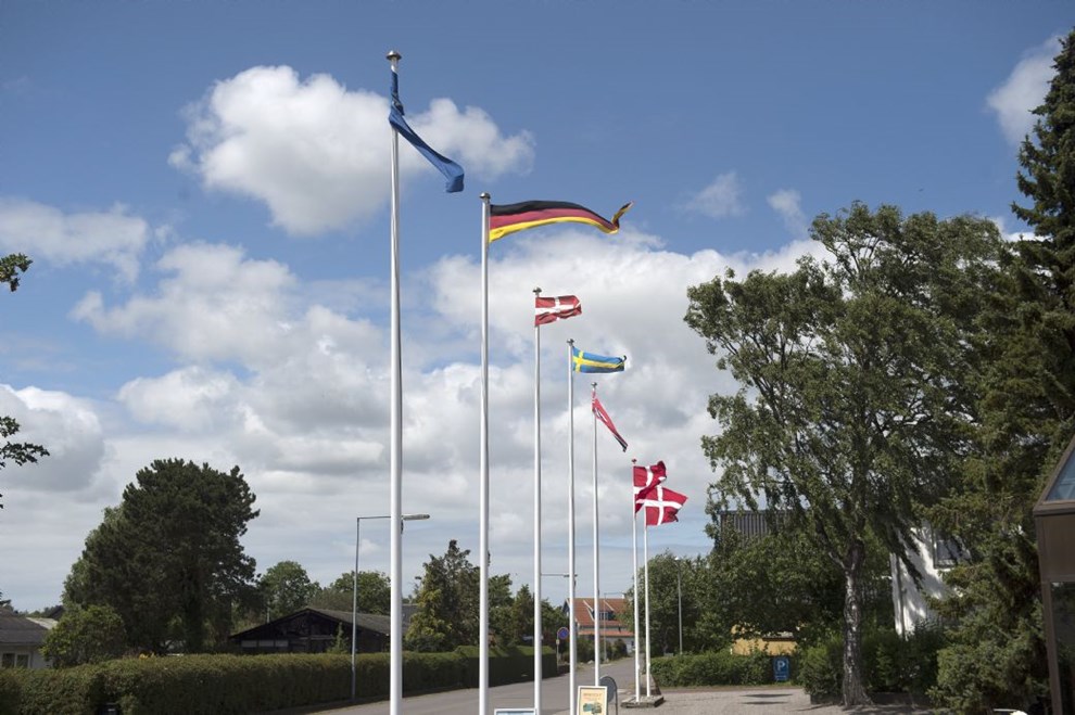 N�gne m�nd med engangsgrill fanget af politiet