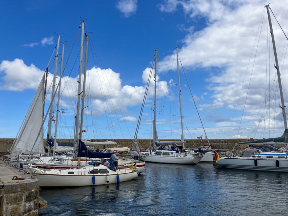 Den travleste uge i havnen: Det vlter ind med sejlere