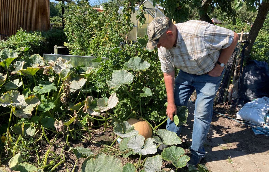 Verner er klar til det frste BM: 'Det er godt at holde sig i gang'