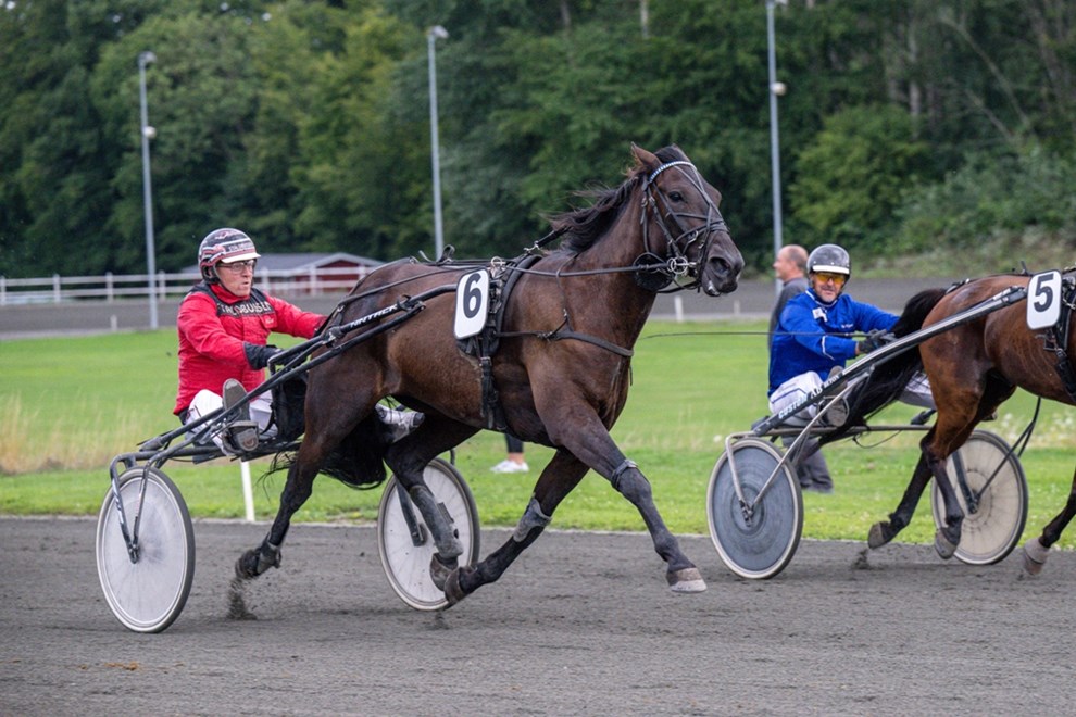 Rekorderne fik et tryk