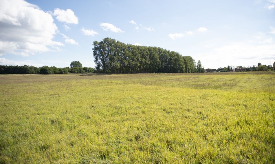 Vi har brug for vision�r boligudvikling 