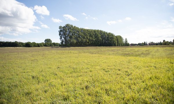 Vi har brug for vision�r boligudvikling 