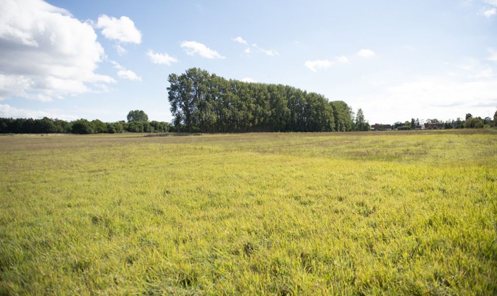 Vi har brug for visionr boligudvikling 