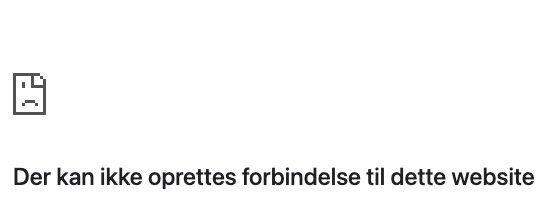 Hackerangreb lagde lufthavnens hjemmeside ned