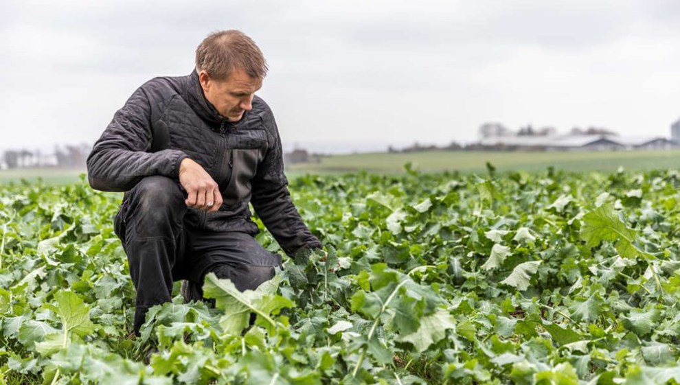 Svineavler i retten: 'Kunne ikke komme til orde'
