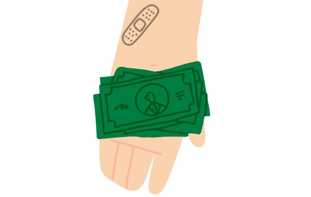 Budgettet i store tal: Sdan fik politikerne pengene til at passe