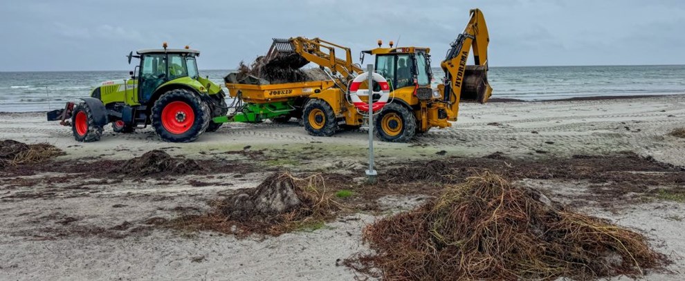Strandsandet er atter frit p� Balka