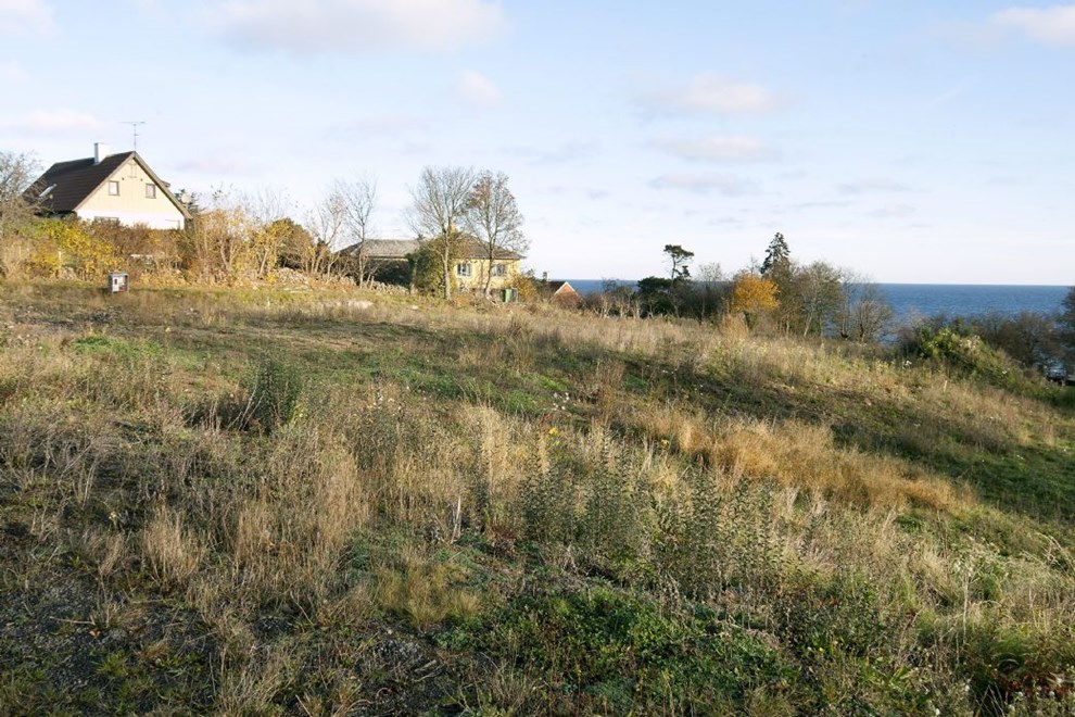 Ejere af flexboliger fr mindre mulighed for at leje ud