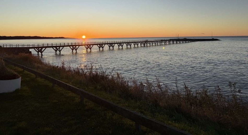 Overv�ldende st�tte sikrer �havnens fremtid