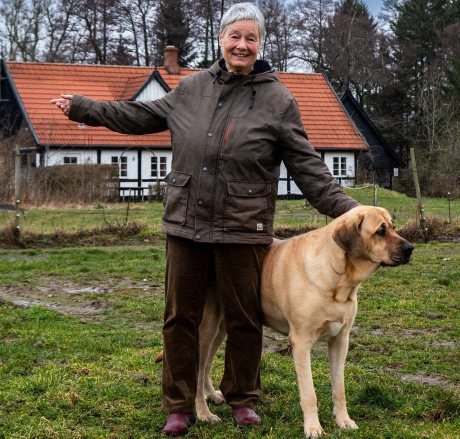 Ikke-eksisterende frilandsgrise � eller frilandssvin