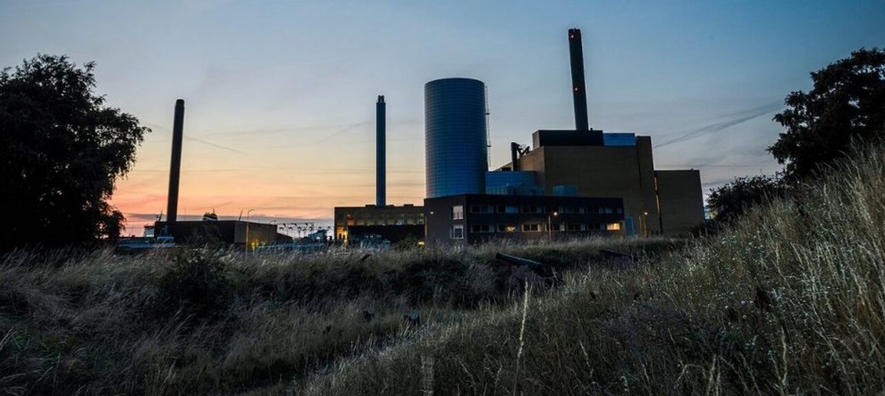 Beof lander overskud p 83 millioner kroner