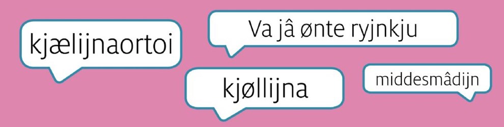 En spåga i ænnaholled