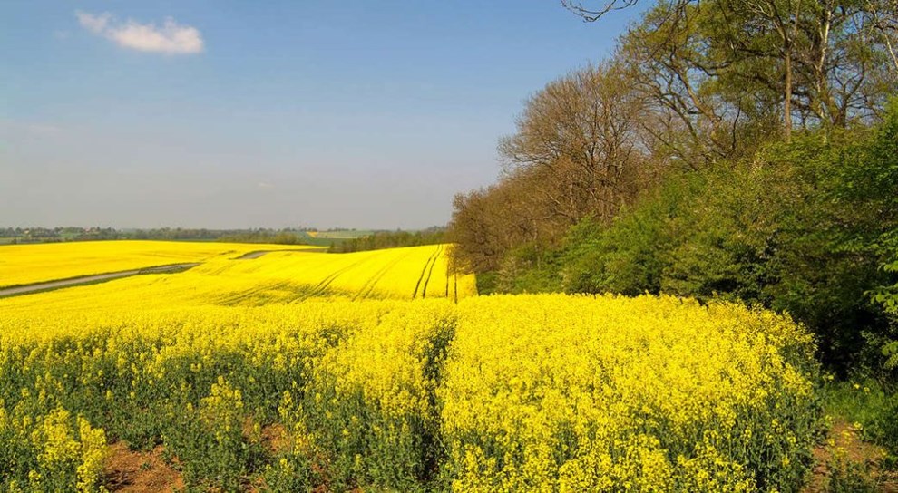 Danske landmnd skal ikke st alene i klimakampen