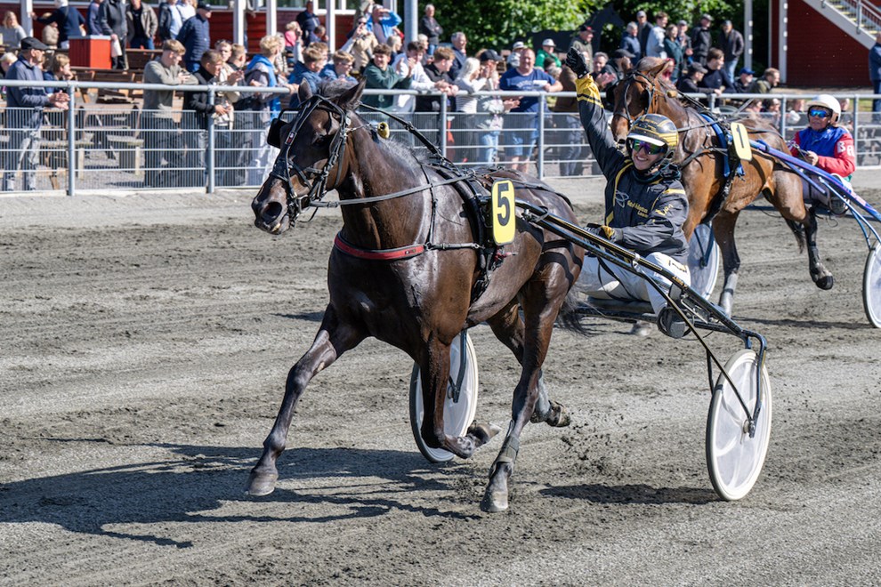 Filly vltede 5.000 V4-rkker af pinden