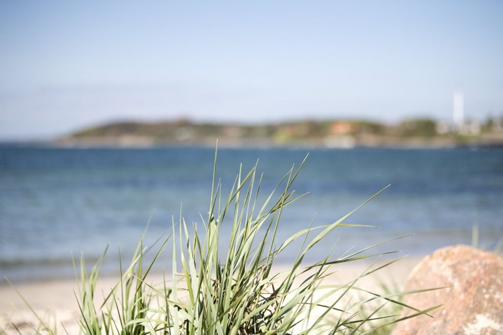 For mange bakterier i vandet: Badning frardes