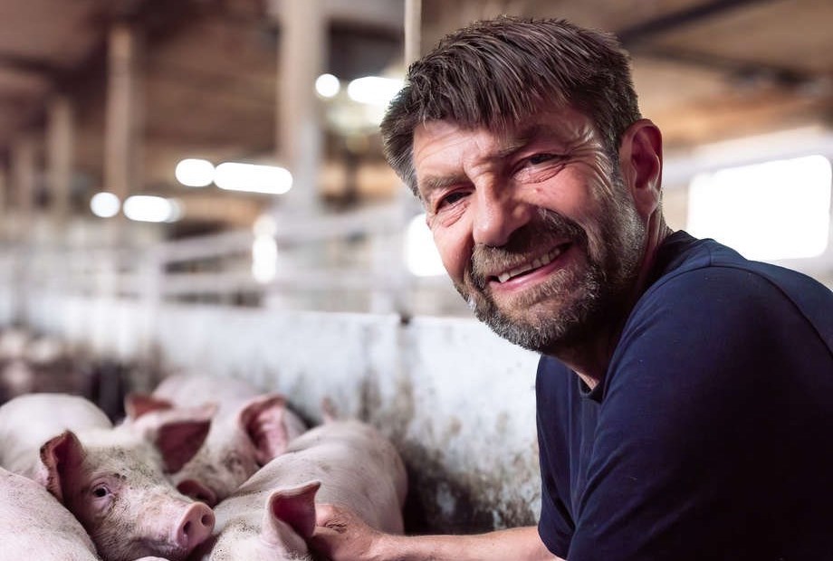 Bornholmergrisen svarer igen