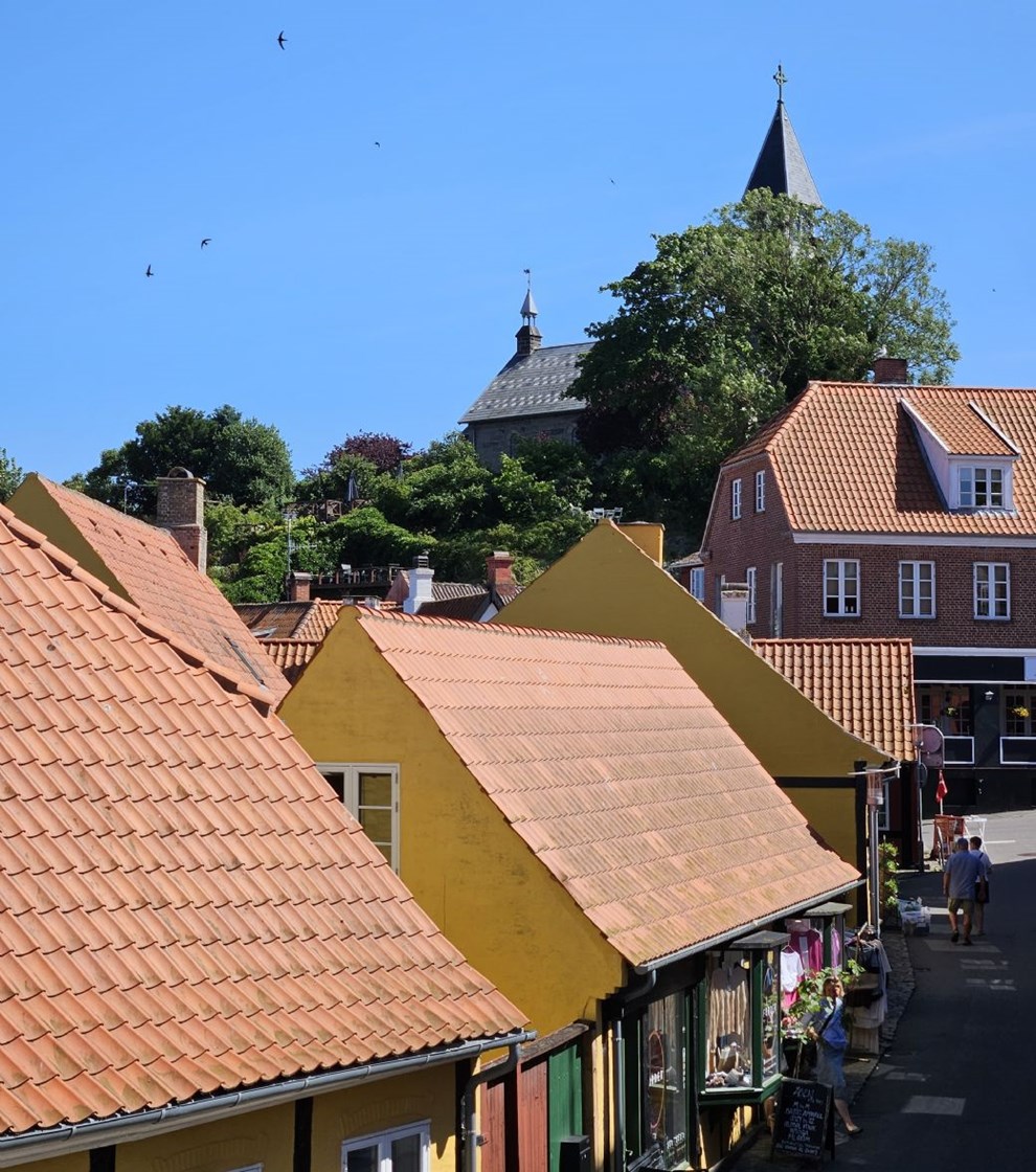 Dagens billede: Over Gudhjems tage