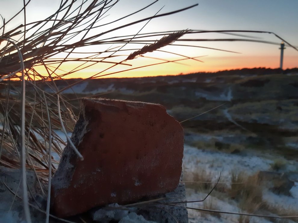 Dagens billede: Store Sten og Lille Fyr i skøn natur Dagens billede: Store Sten og Lille Fyr i skøn natur