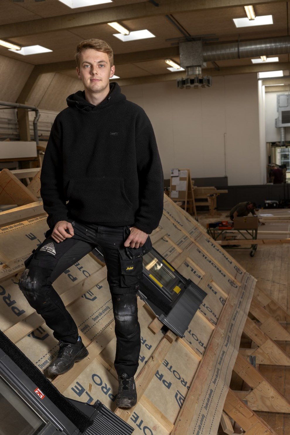 Lion og de gode forhold