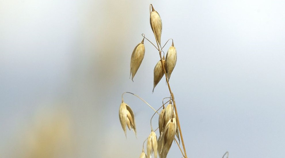 Her er navnet p Rnnes nye vej