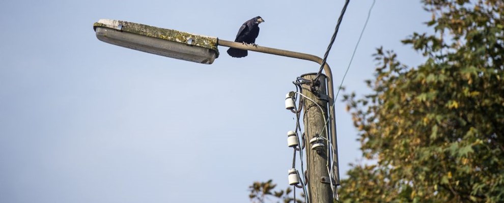 Derfor var der ingen lys i gaderne