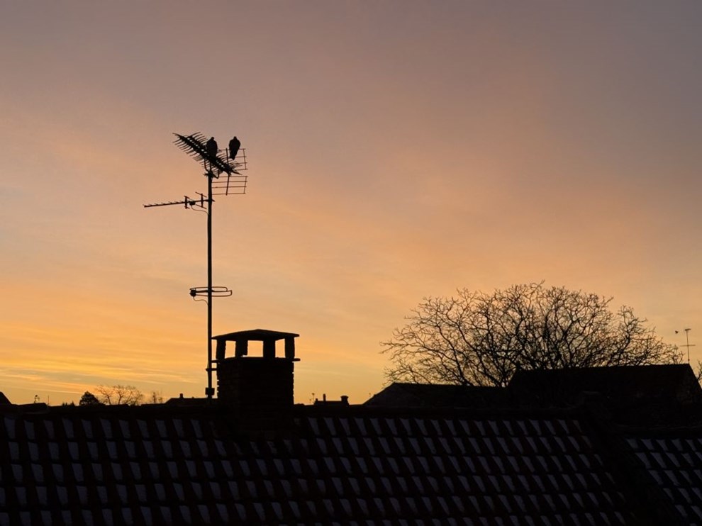 Pas på glatte veje Pas på glatte veje