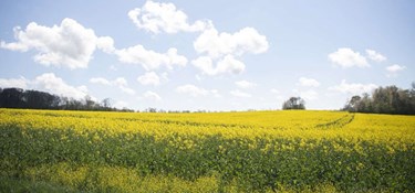 Solceller overtrumfer fortidsminder