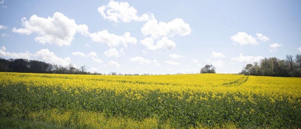 Solceller overtrumfer fortidsminder