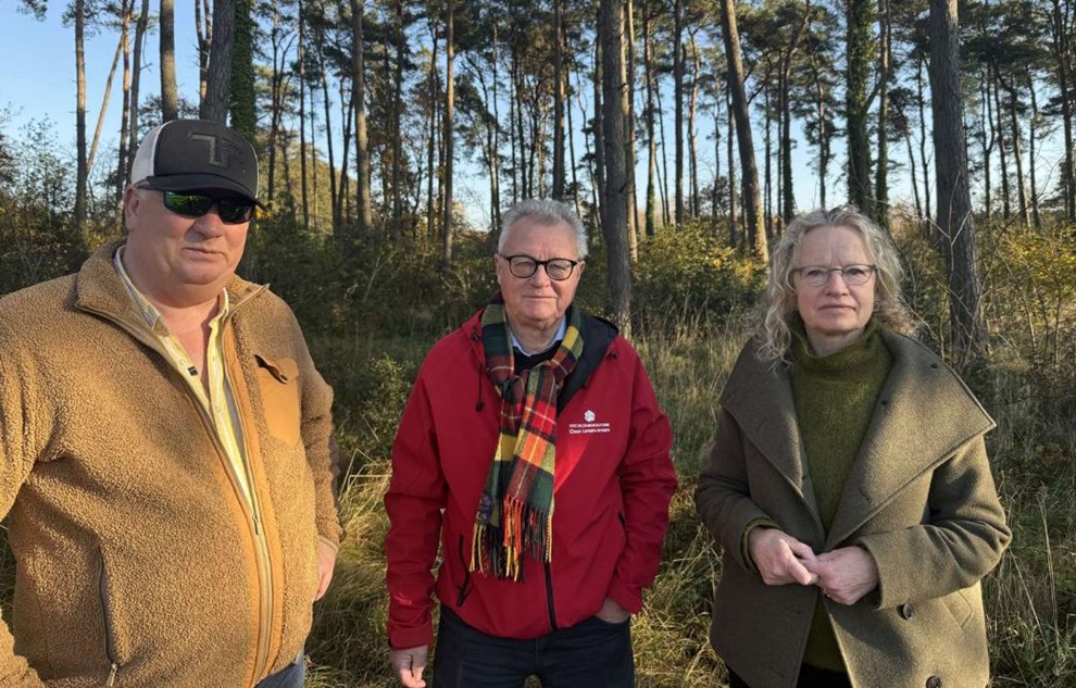 Splitter politikerne 