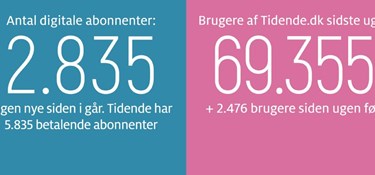 Rollemodeller der bygger mere end broer