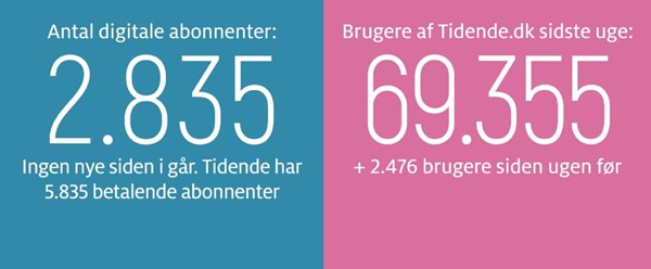Rollemodeller der bygger mere end broer