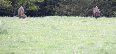 Omstridt projekt rykker tættere på: Tro på åbning næste år