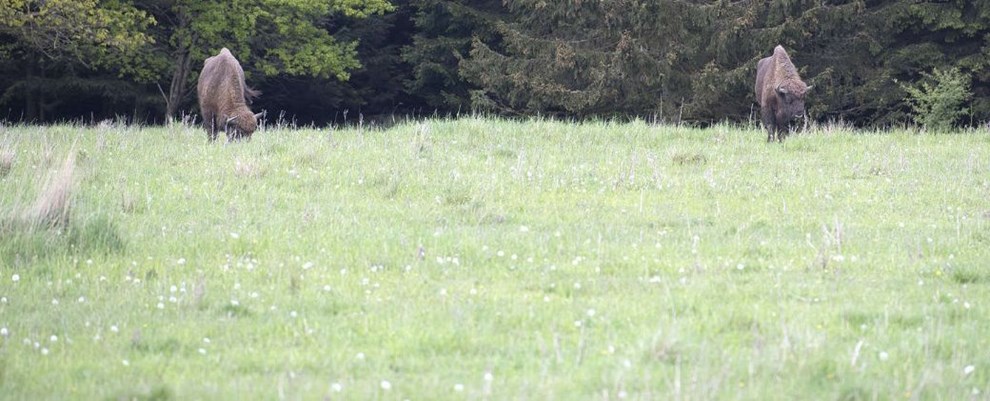 Stort projekt rykker nærmere: Tro på åbning næste år Stort projekt rykker nærmere: Tro på åbning næste år