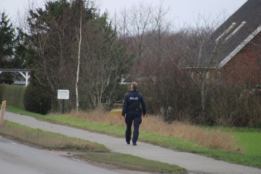Politiet fors�ger at indfange tre undslupne hunde
