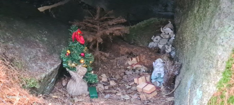 Der jules i Almindingen