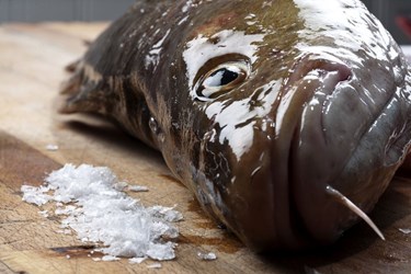 Vores nyt�rsmenu skulle skille sig ud