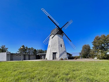 'Det er sjldent, vi fr mller til salg'