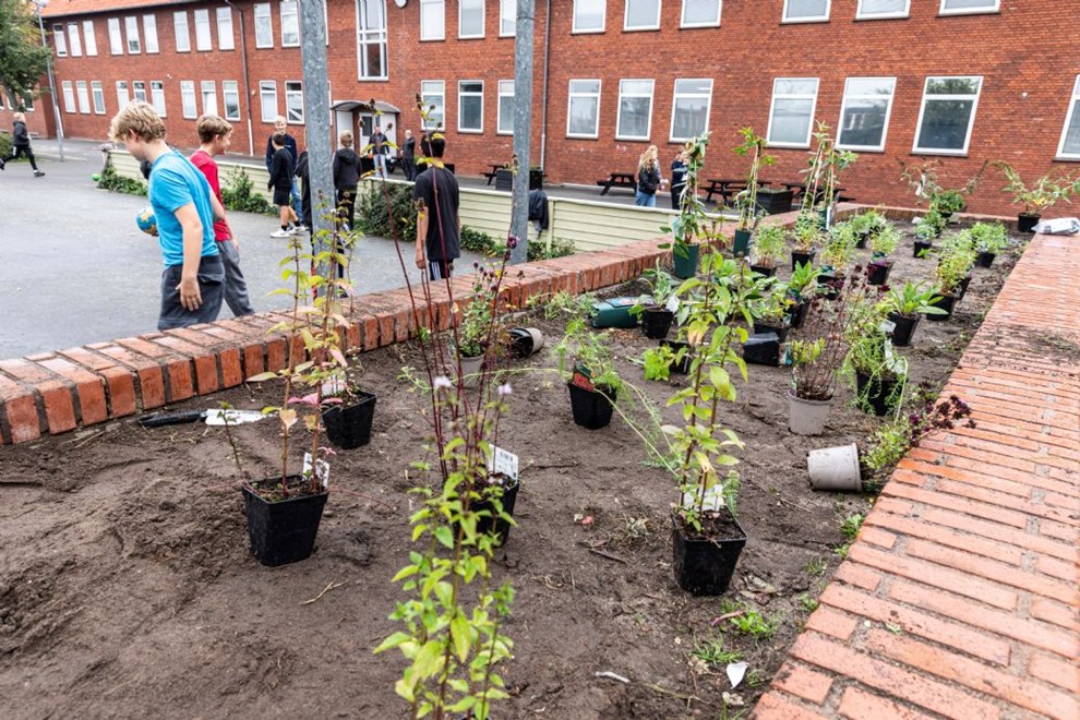 Ny kurs efter 10 �r: Bornholm g�r tilbage til specialklasser