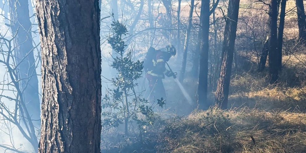 Brand i sommerhusomr�de