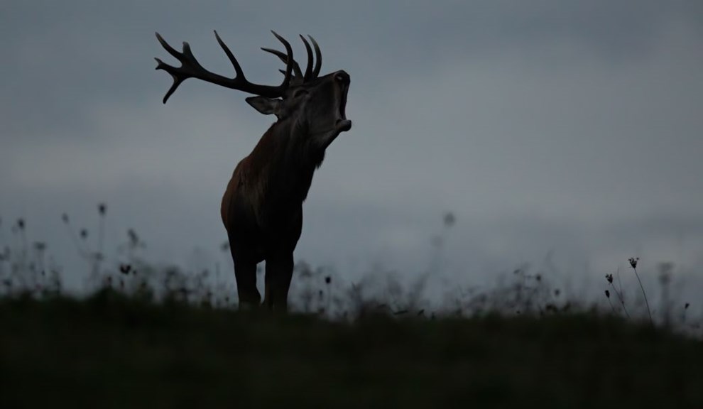 Millionprojekt risikerer ny forsinkelse: Her er rsagen