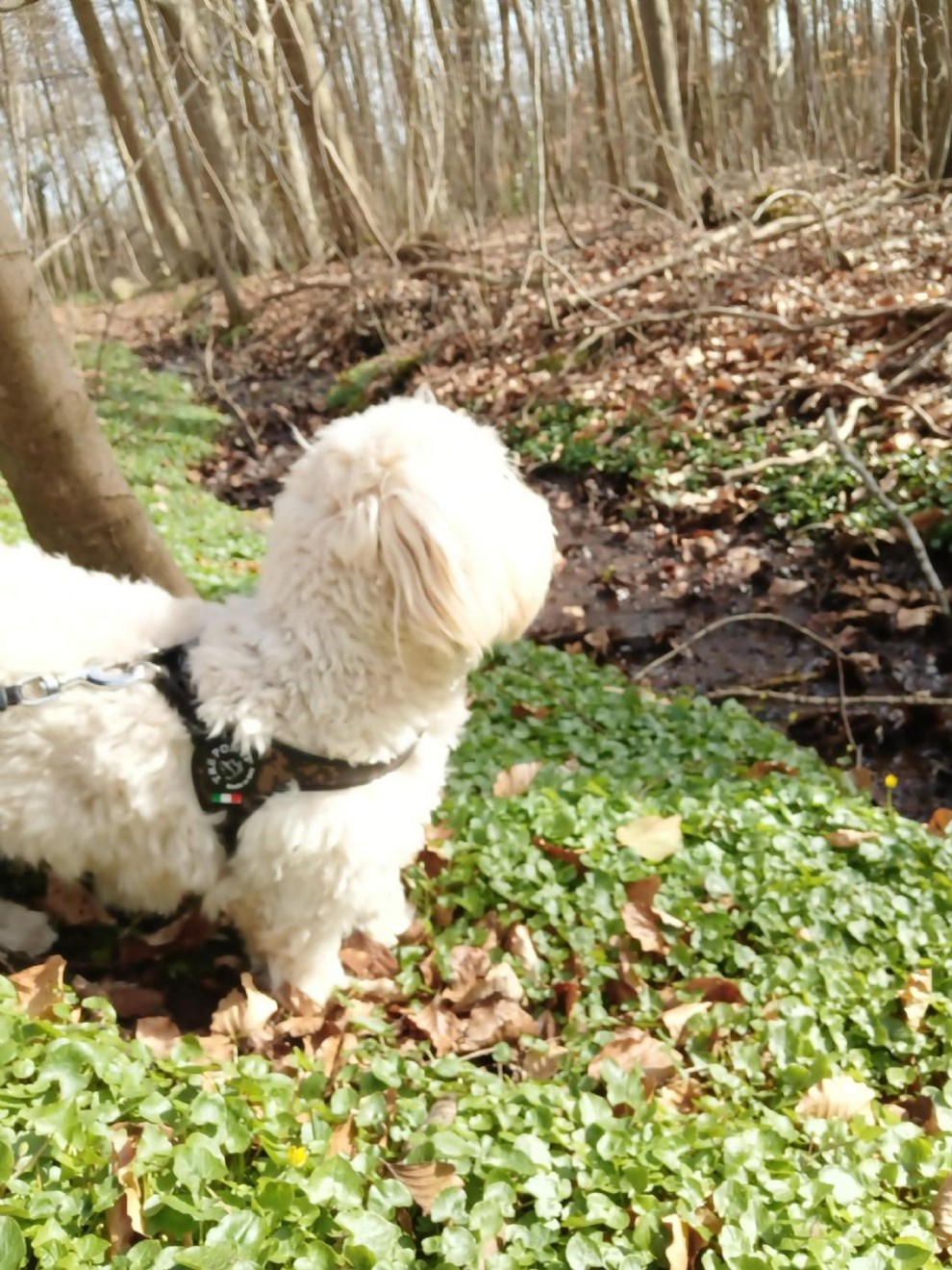 Dagens billede: Anton nyder for�rsvejret