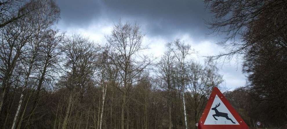 Frygt for uheld: Pkrsler bliver mere alvorlige